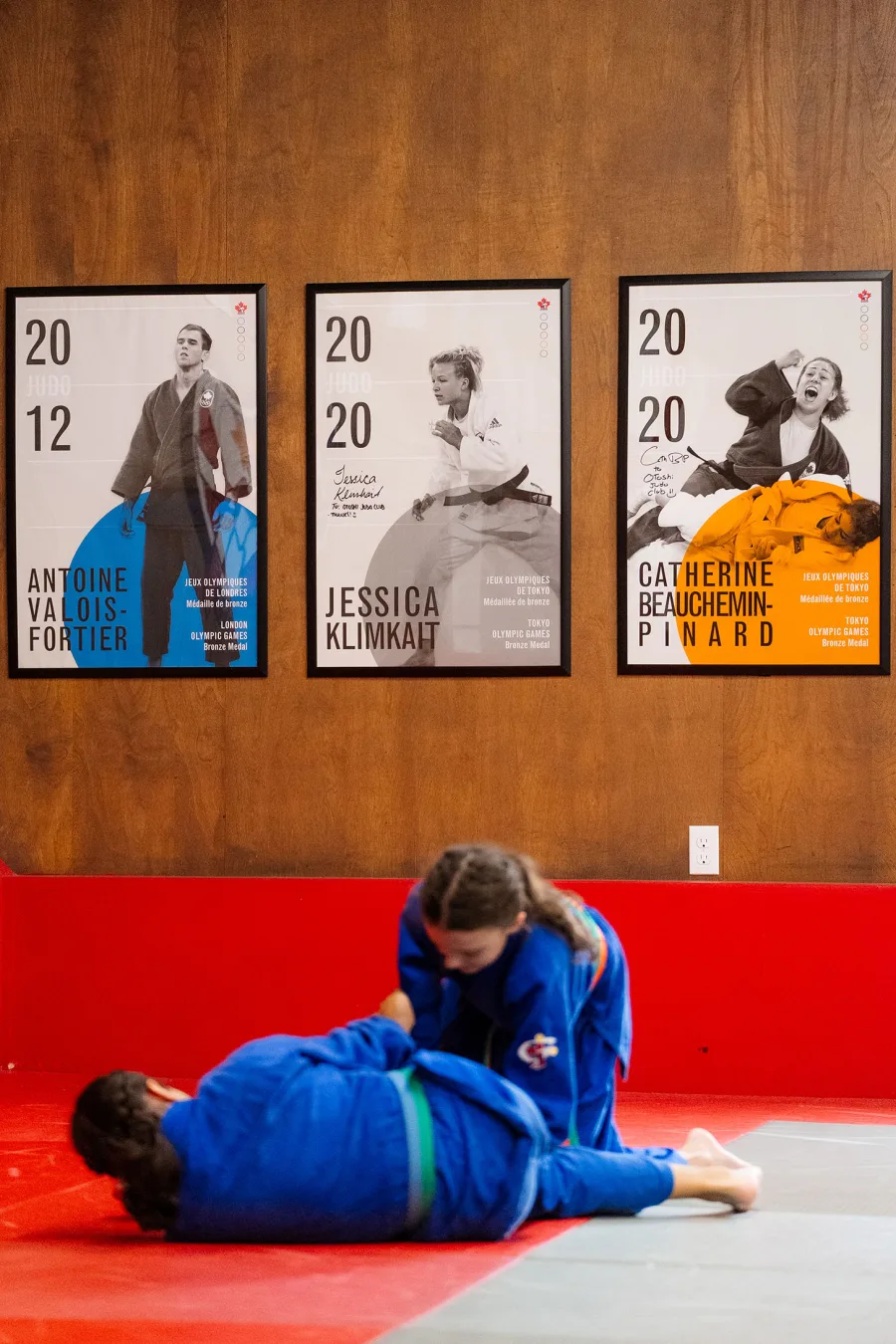Main image of Otoshi Judo