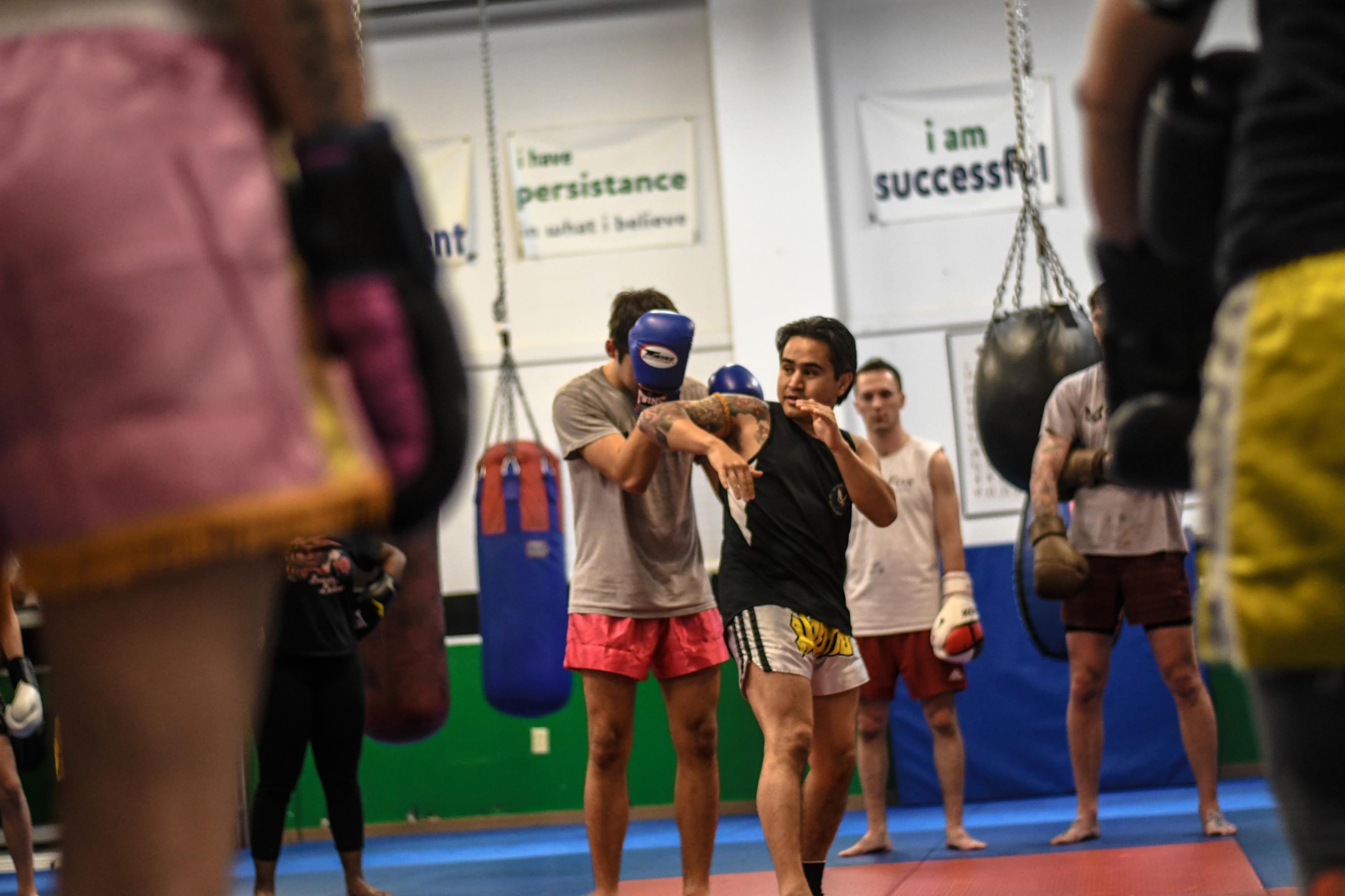 Main image of Outfox MMA