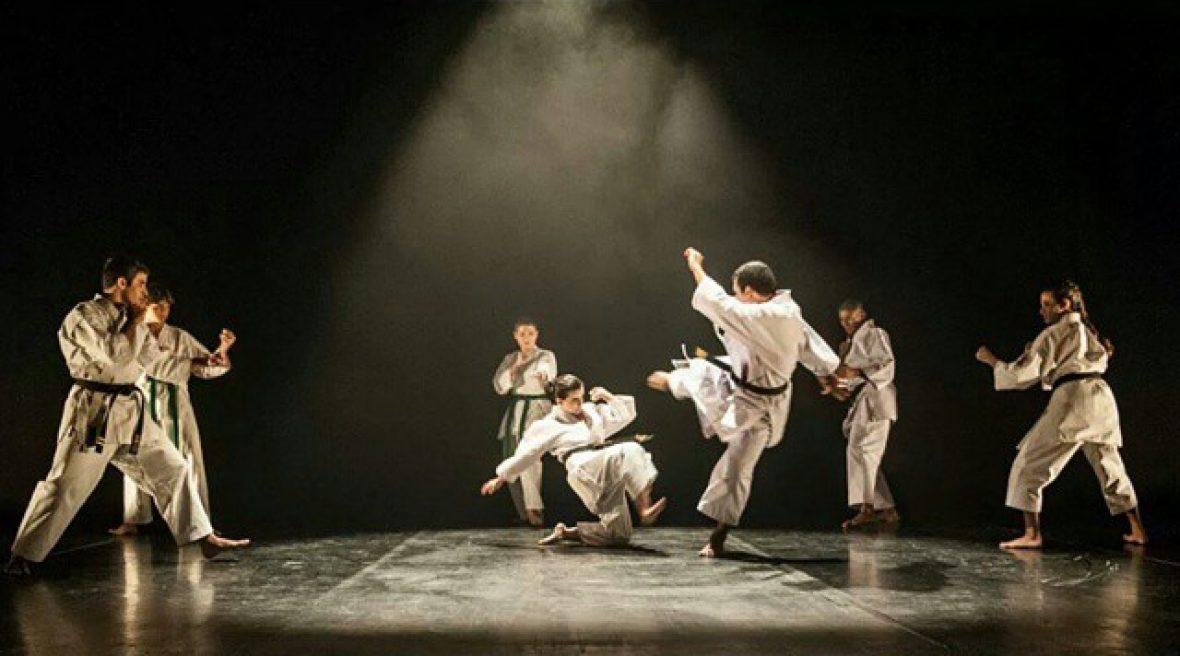 Main image of Oyama Academy Karate Shotokan