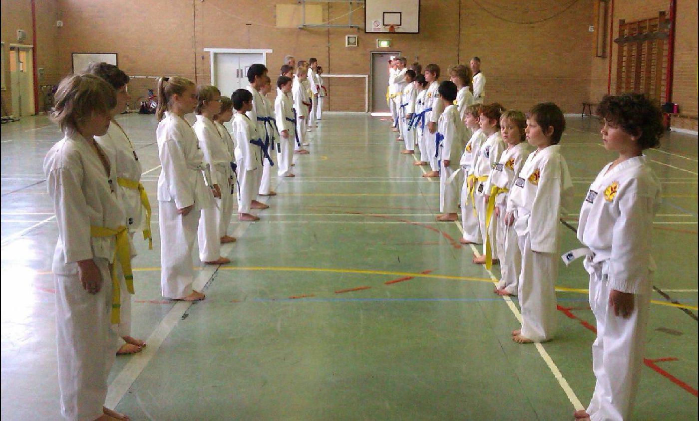 Main image of Pace Taekwondo