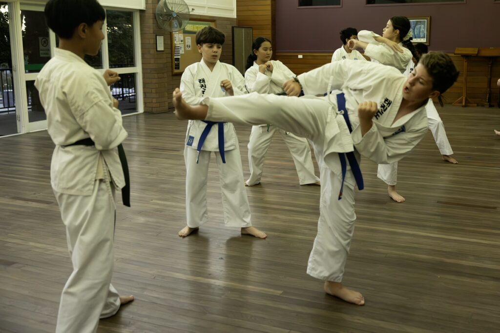 Main image of Pacific International Taekwondo - Slacks Creek branch