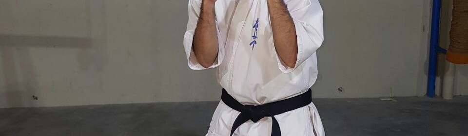 Main image of Pakistan Kyokushin Karate Organization IKO-3