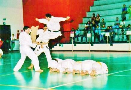 Main image of Palestra Drizza solaro