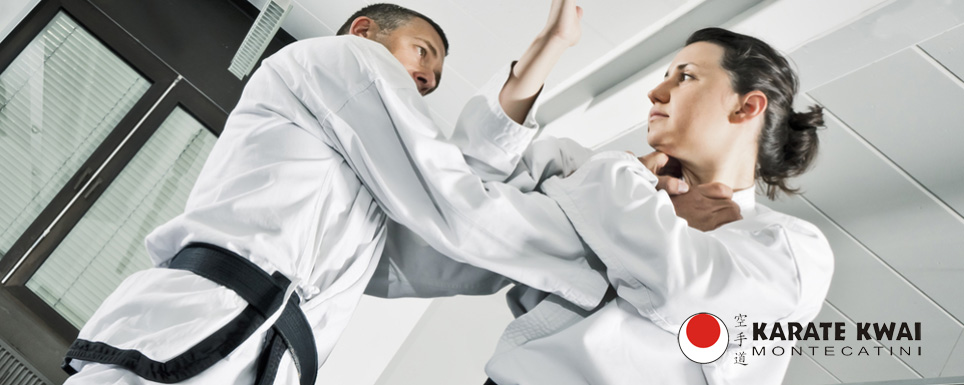 Main image of Palestra Karate Shotokan