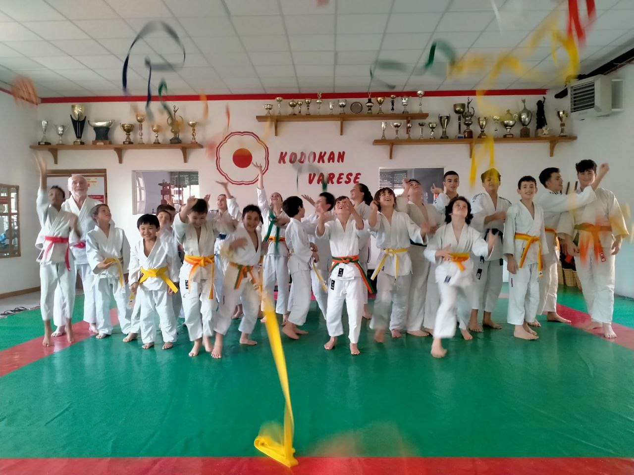 Main image of Palestra Kodokan Varese