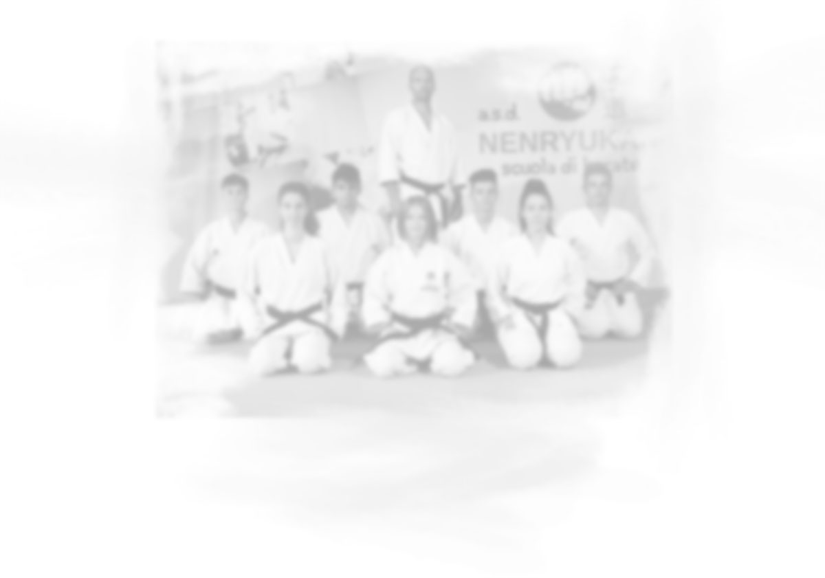 Main image of Palestra Nenryukan