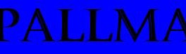 Main image of Palladino Martial Arts