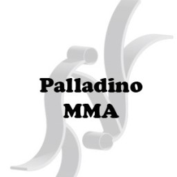 Main image of Palladino MMA