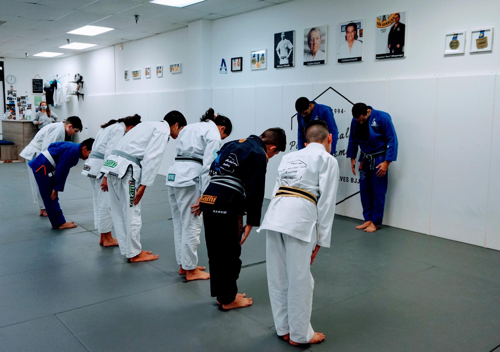 Main image of Palm Martial Arts Academy