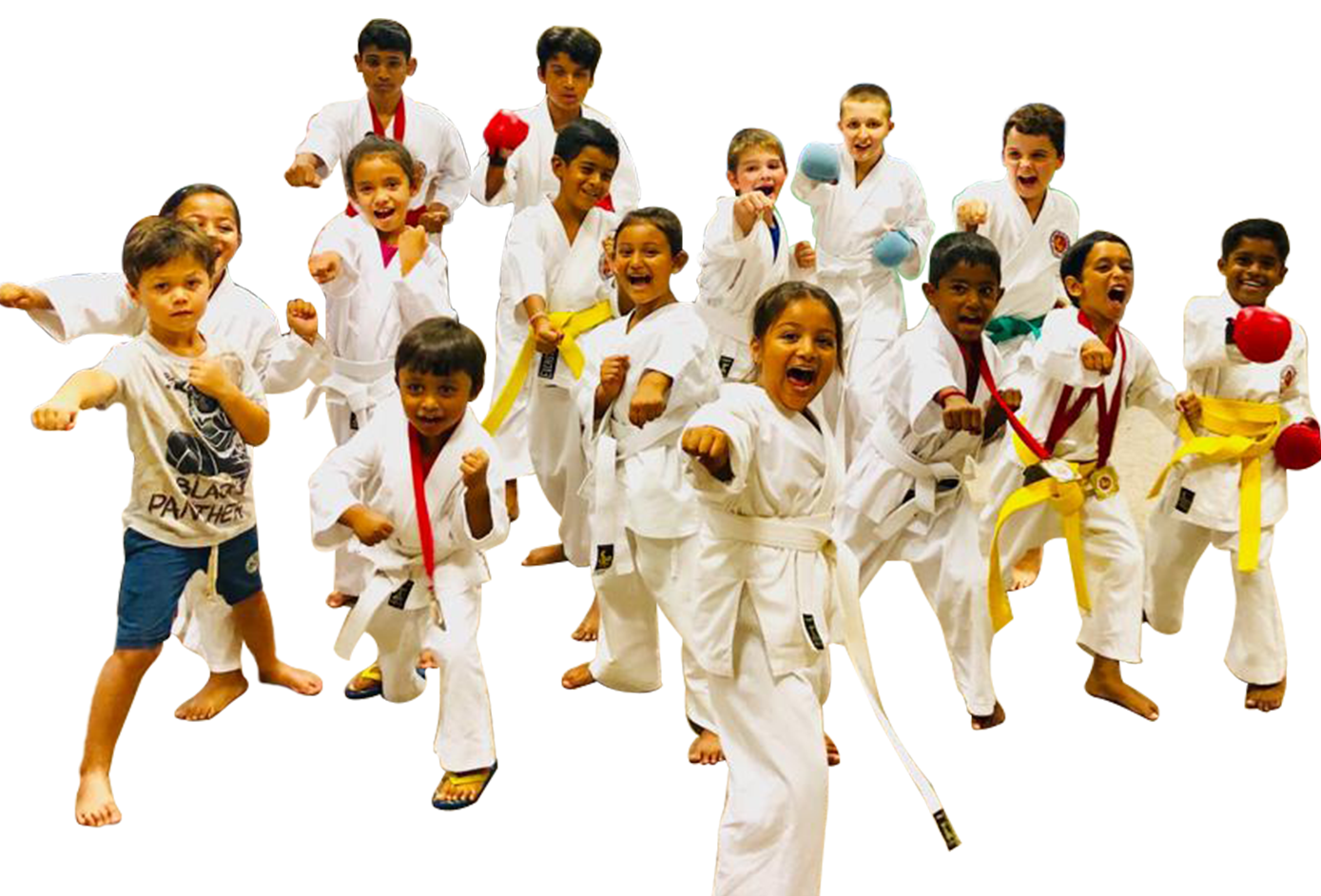 Main image of Palmview Karate Club