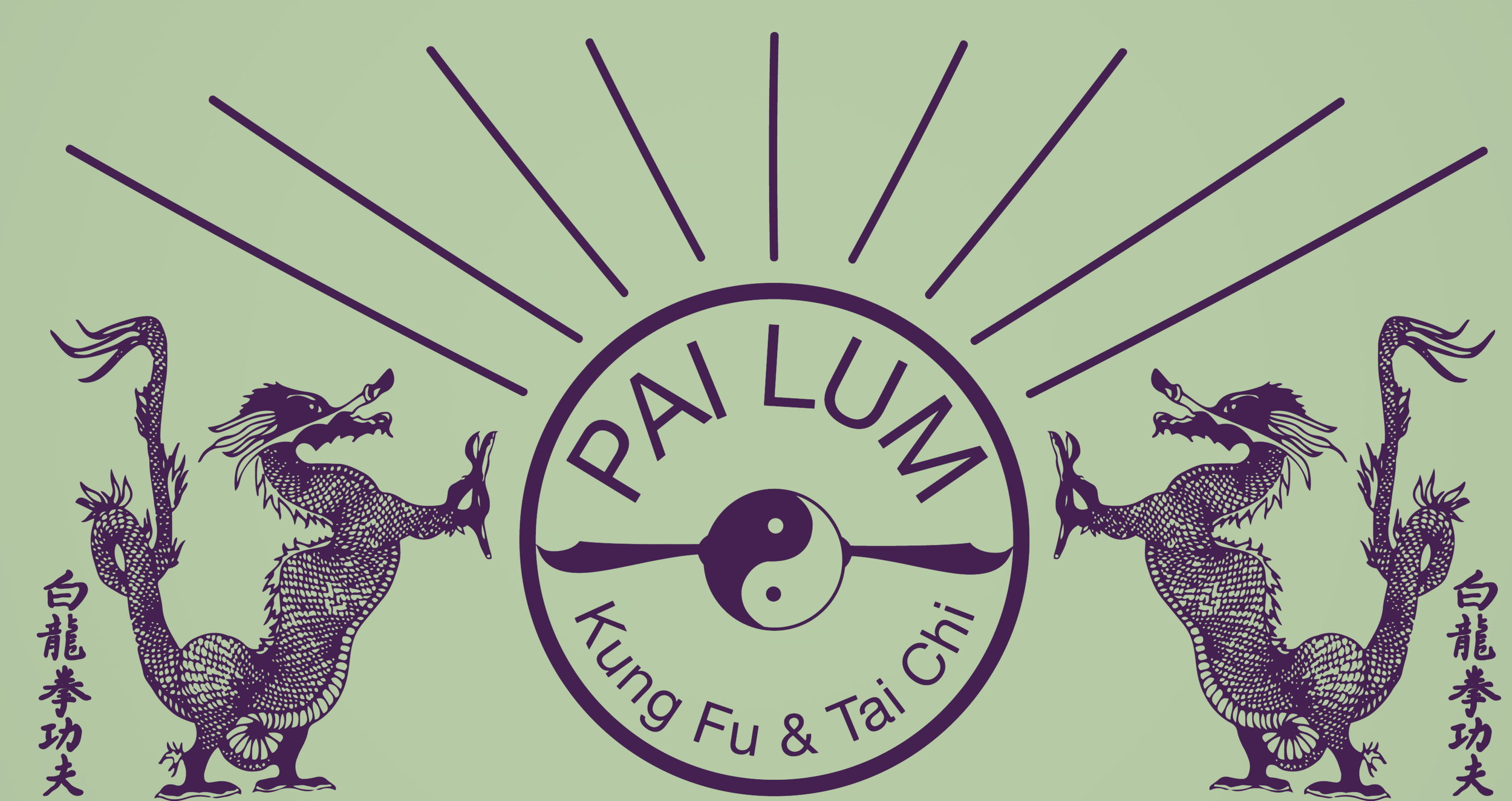 Main image of Palmyra Kung Fu Center
