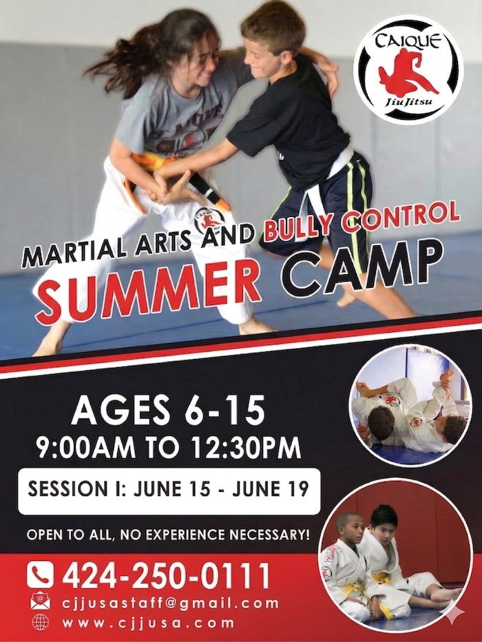 Main image of Palos Verdes Jiu-Jitsu by Caique