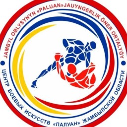 Main image of PALUAN FC