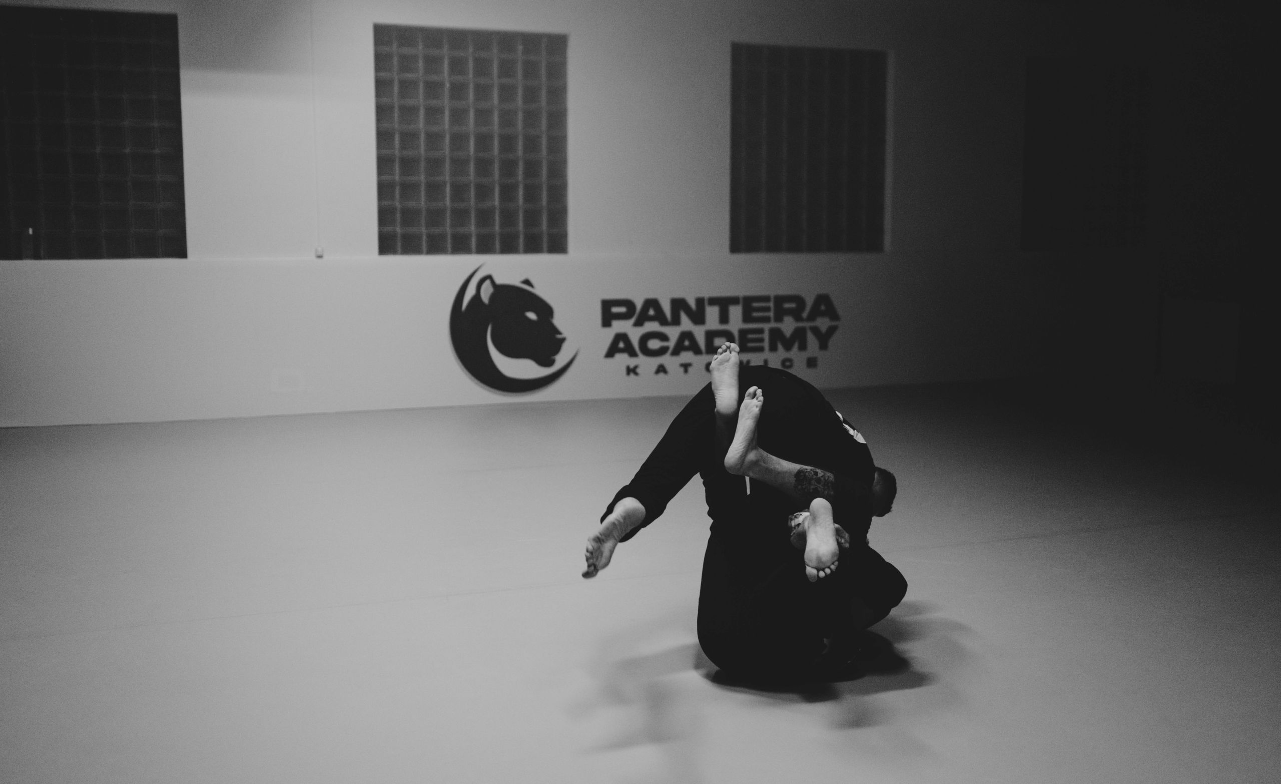 Main image of Pantera Academy Katowice