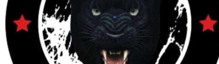 Main image of Panther Warrior's