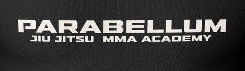 Main image of Parabellum Jiu Jitsu MMA Academy