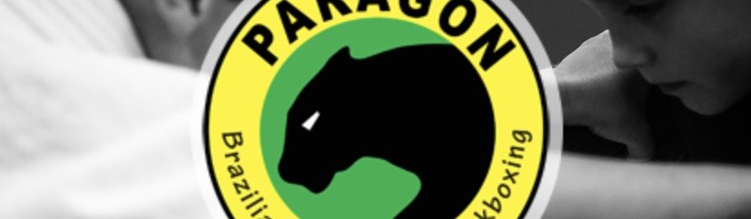 Main image of Paragon AG
