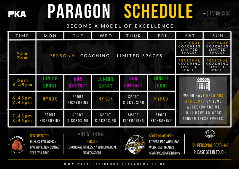 Main image of Paragon Kickboxing Academy
