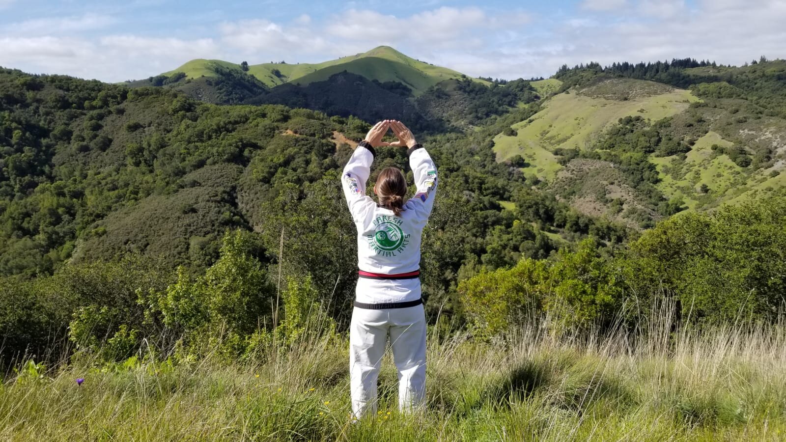 Main image of Paresh Martial Arts
