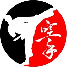 Main image of Partida Karate Academy