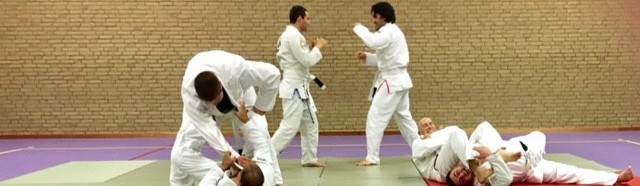 Main image of Partisla Jiu-Jitsu Maastricht