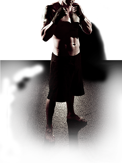 Main image of Paul Colesby - The Gunners Den