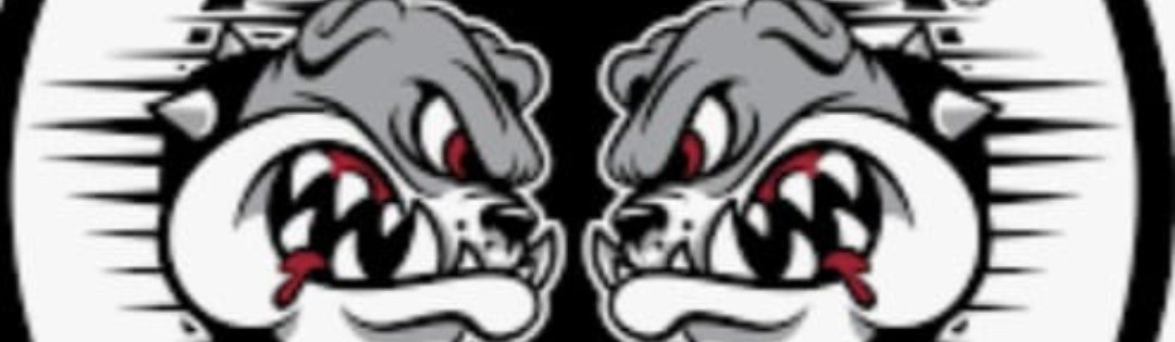 Main image of Paulo Filho BJJ