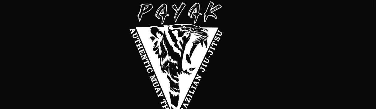 Main image of Payak Muay Thai BJJ