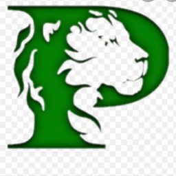 Main image of Payson pride