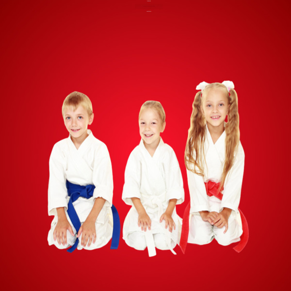 Main image of Peak to Peak Martial Arts