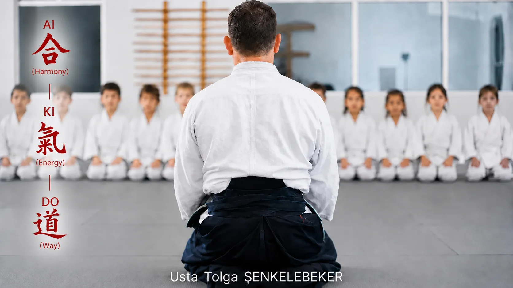 Main image of Pedagojik Çocuk Aikido