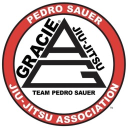 Main image of Pedro sauer korea