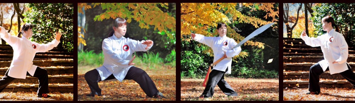 Main image of Pei Lei Wushu Association