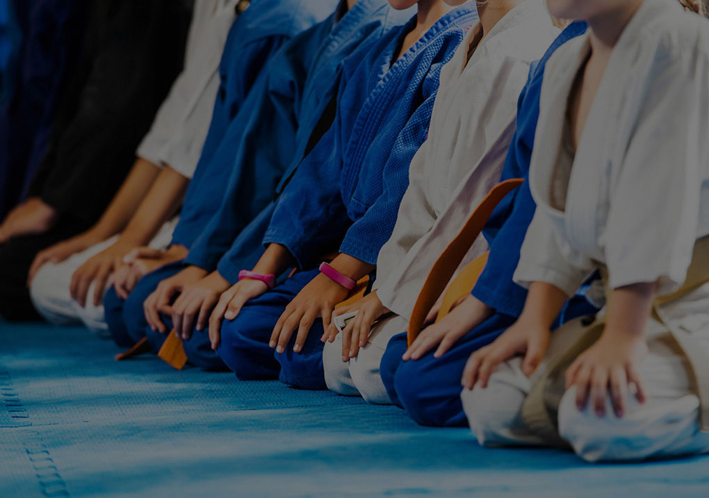 Main image of Perrins Martial Arts