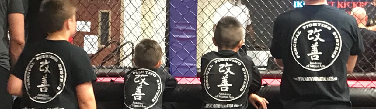 Main image of PFS Academy of Martial Arts