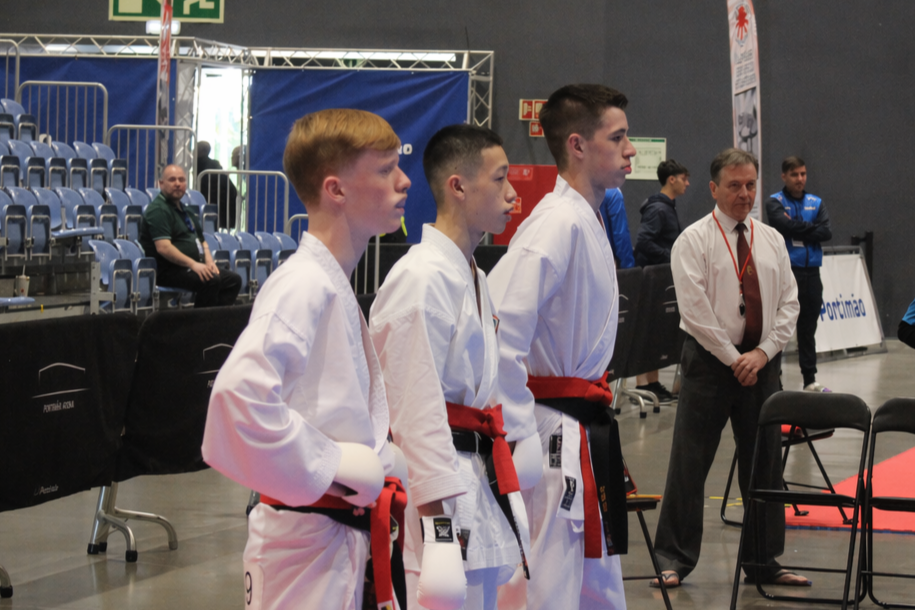 Main image of Phibblestown USKFI Karate