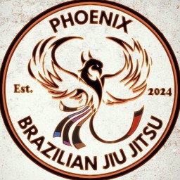 Main image of Phoenix BJJ NZ