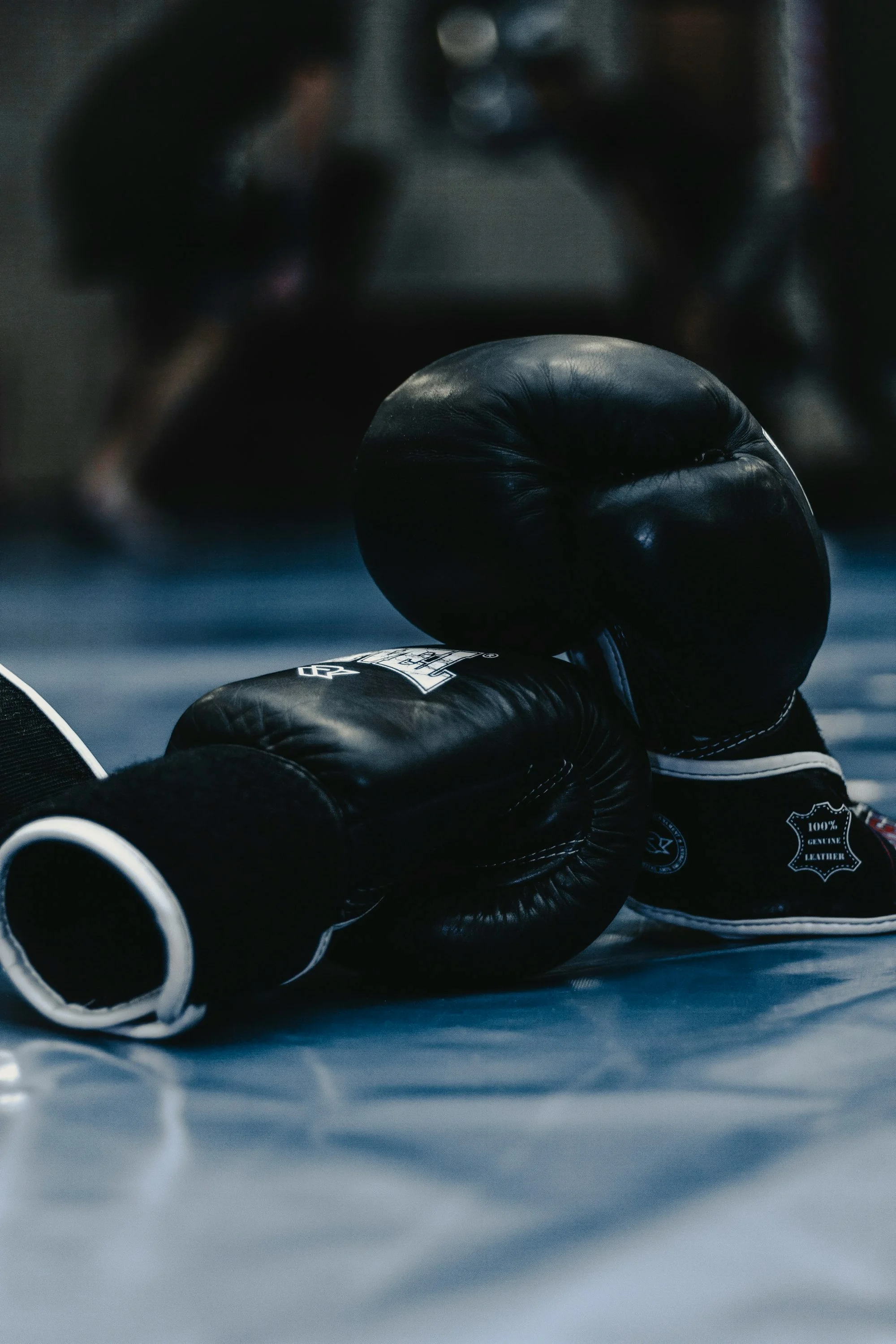Main image of Phoenix Boxing