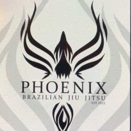 Main image of Phoenix Brazilian Jiu Jitsu