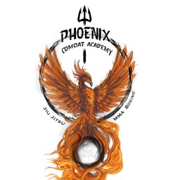 Main image of Phoenix Combat Academy