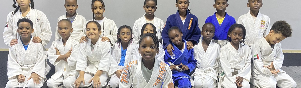 Main image of Phoenix Jiu-jitsu Academy