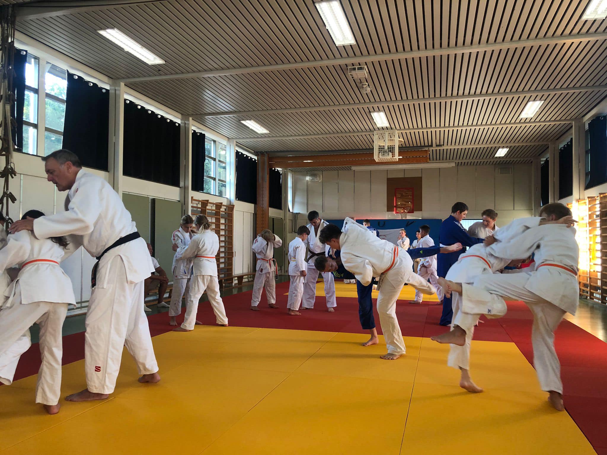 Main image of Phoenix Judo Odense
