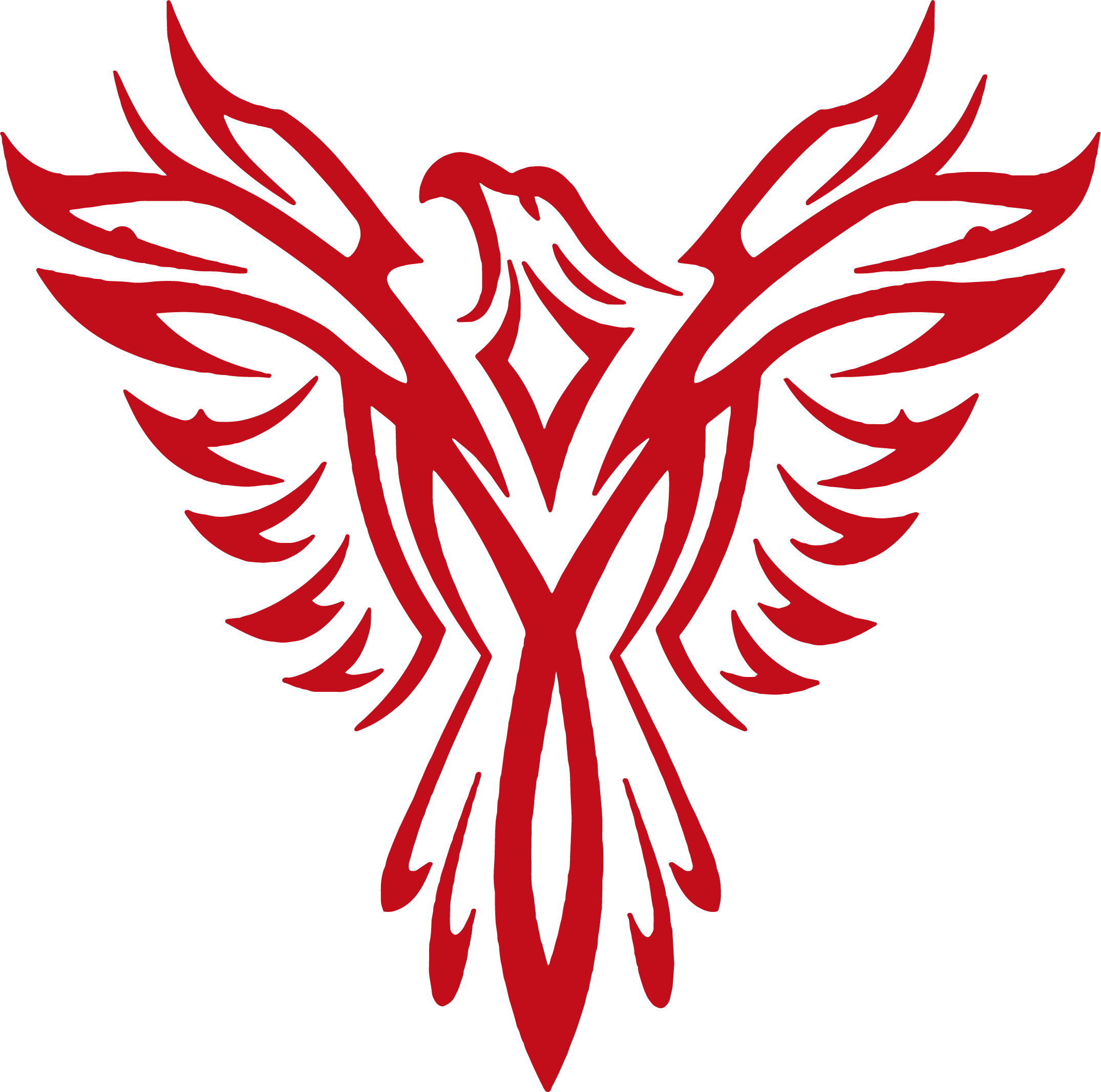Main image of Phoenix Kickboxing