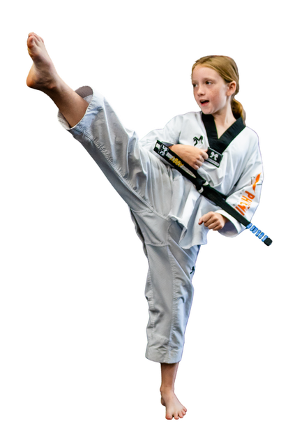 Main image of Phoenix Martial Arts