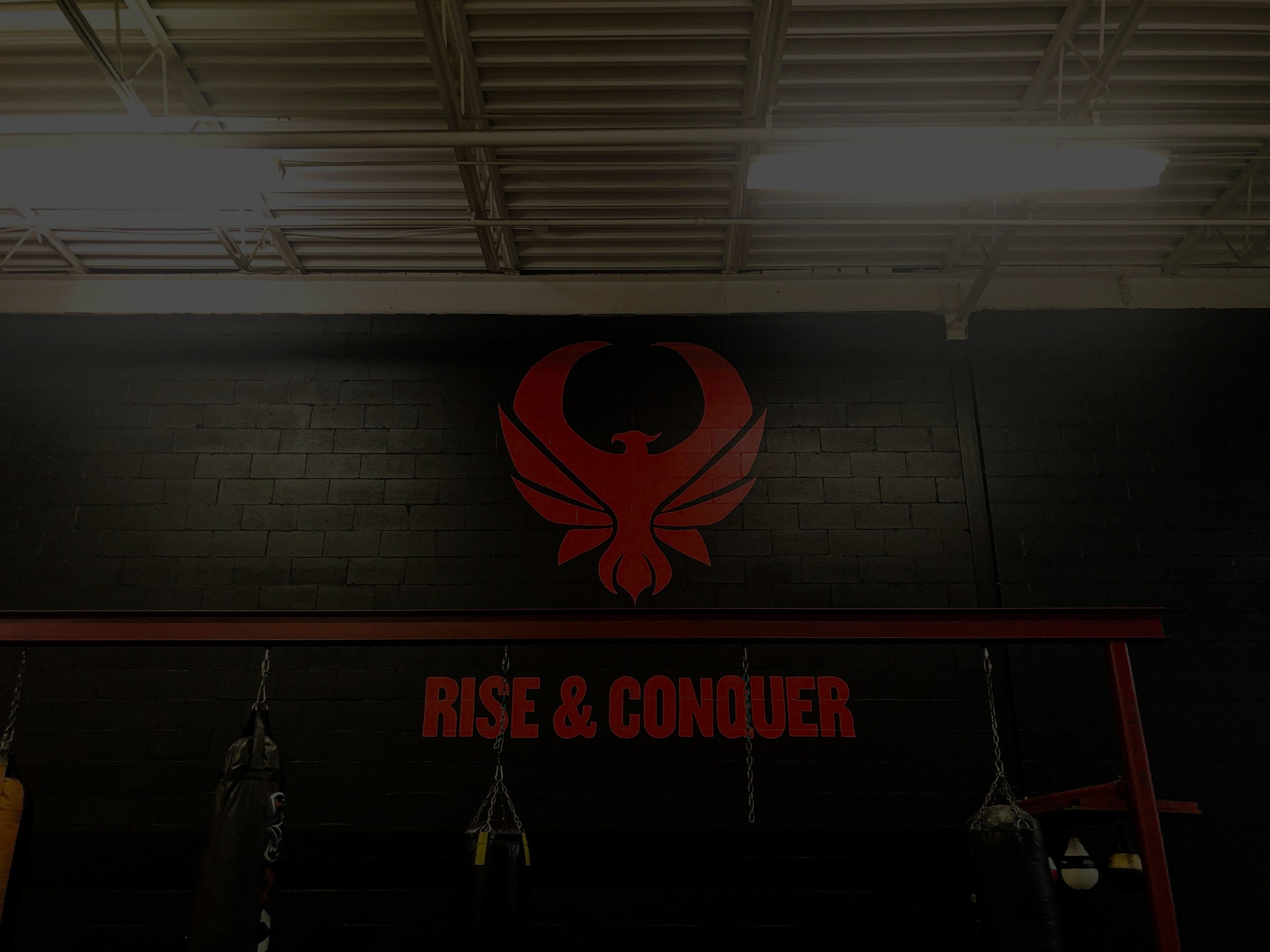 Phoenix MMA & Fitness