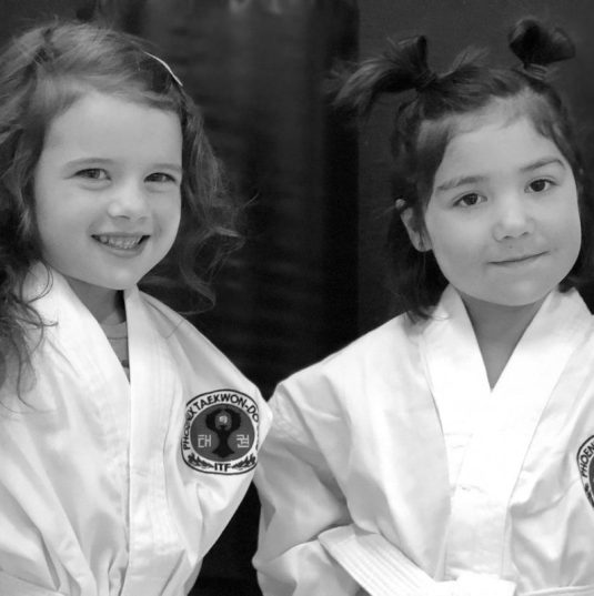 Main image of Phoenix Taekwon-do Club - Morinville
