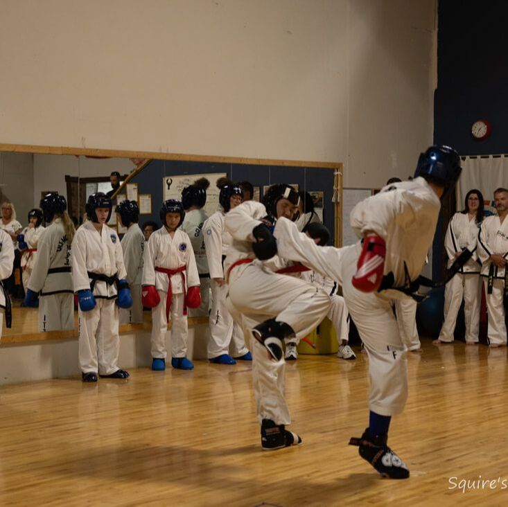 Main image of Phoenix Taekwondo