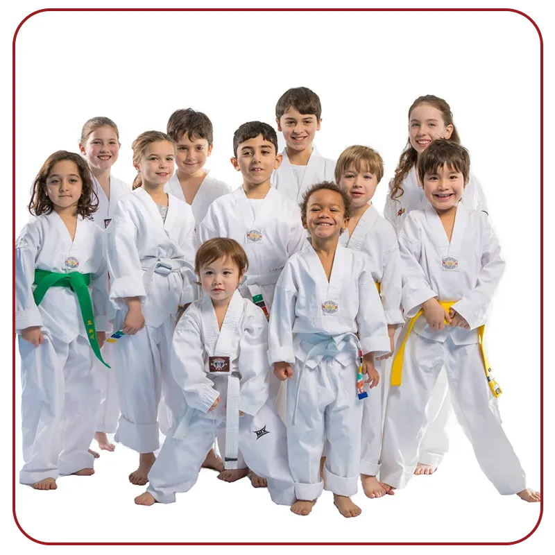 Main image of Phoenix Taekwondo Martial Arts Academy