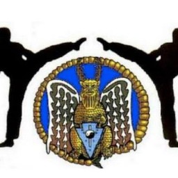Main image of Piasa Martial Arts