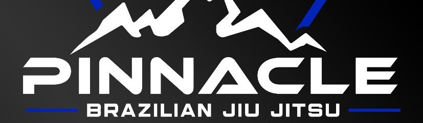 Main image of Pinnacle BJJ / Ares Glendale